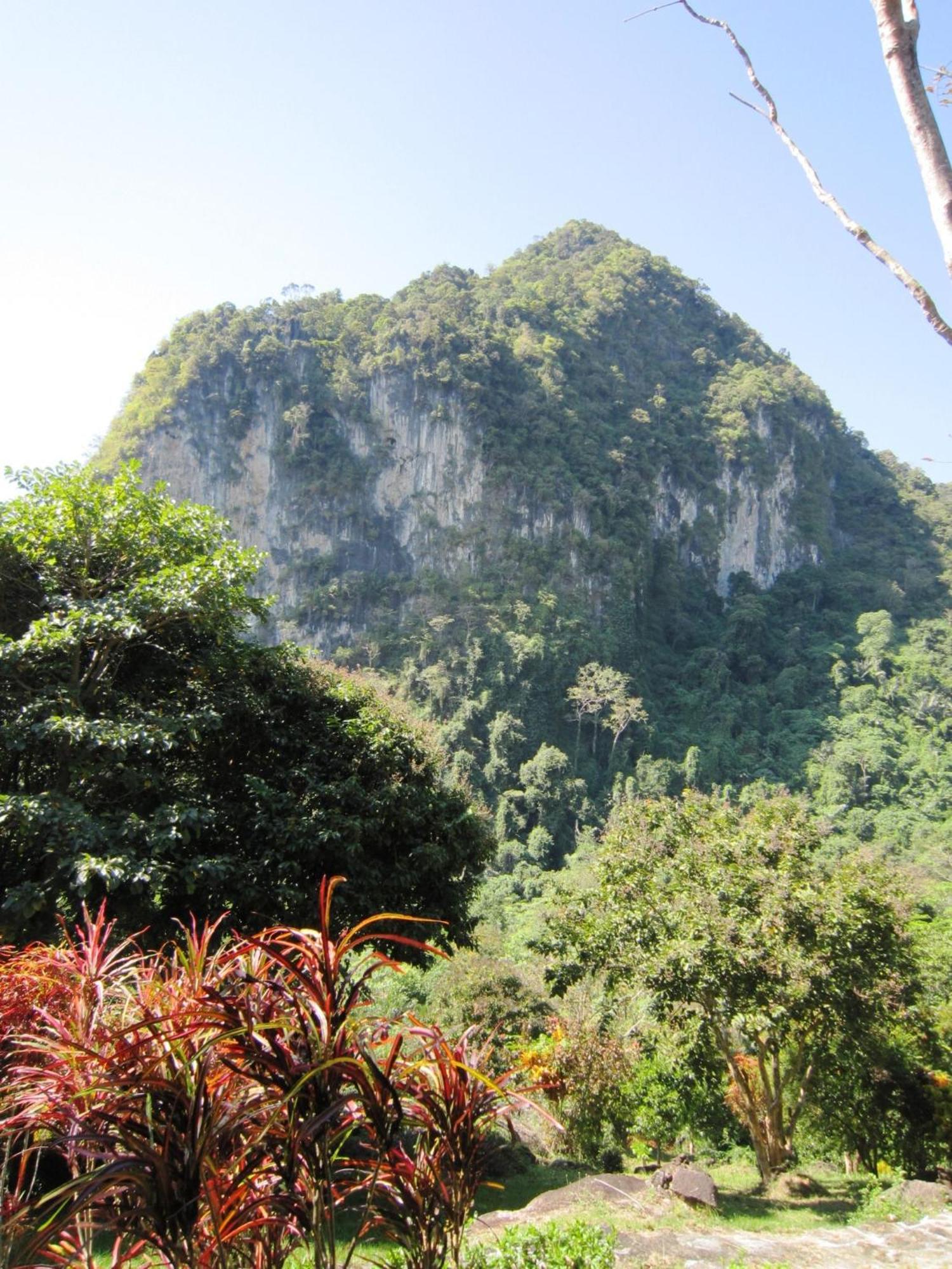 Phanom Bencha Mountain Resort Krabi town Екстериор снимка