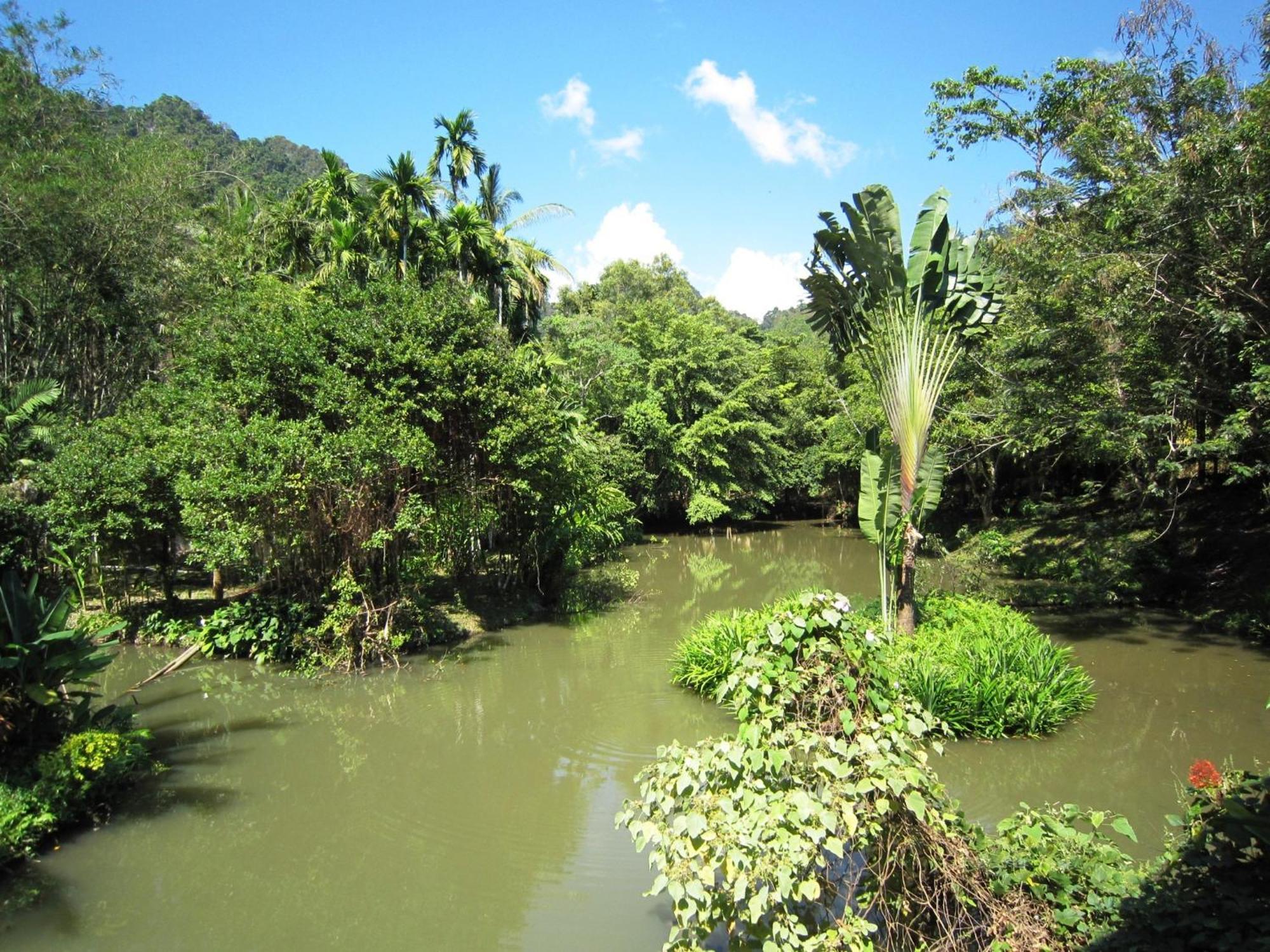 Phanom Bencha Mountain Resort Krabi town Екстериор снимка